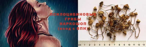 мет Белокуриха